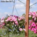 Hanging baskets