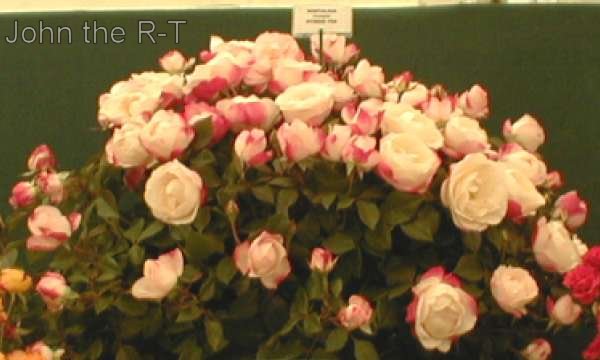 Taken 21 August 03